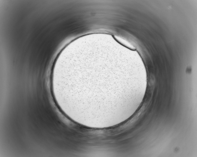 X0000101991054200808151419