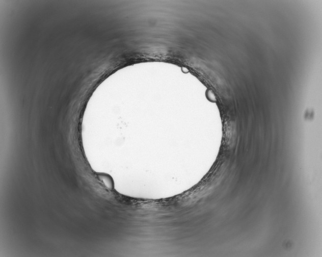 X0000101991057200808151419