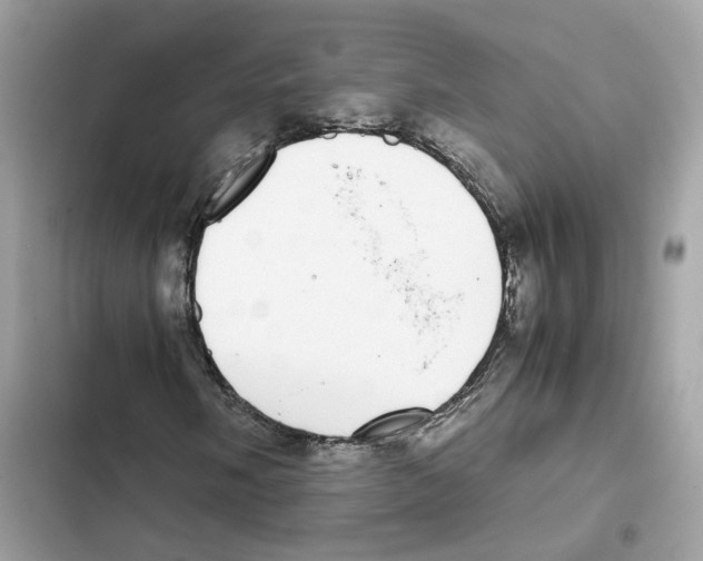 X0000101991058200808151419