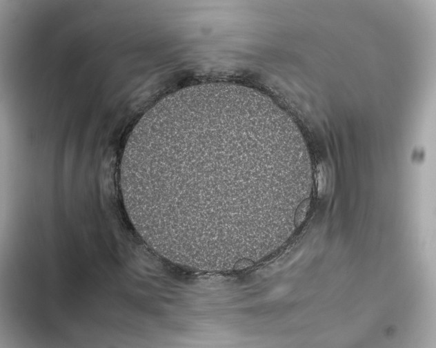 X0000101991059200808151419