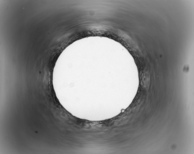 X0000101991061200808151419