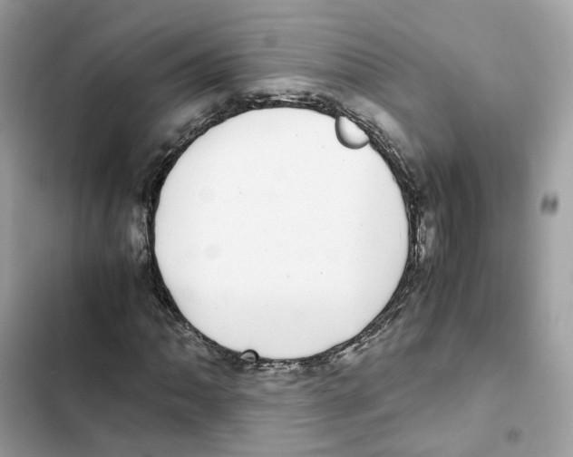 X0000101991062200808151419