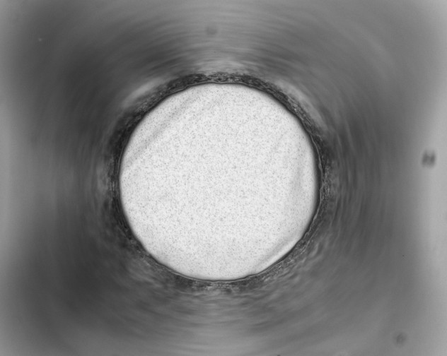 X0000101991063200808151419