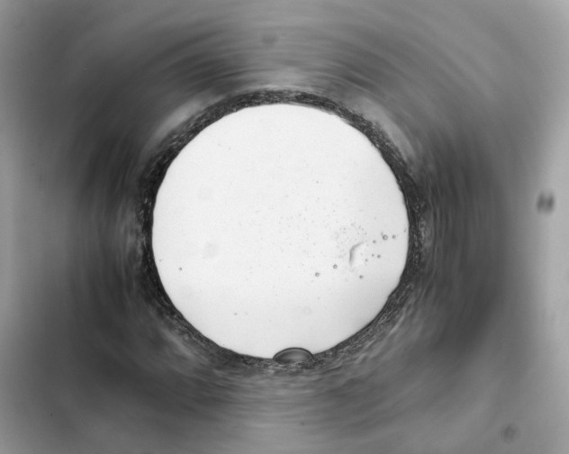 X0000101991064200808151419