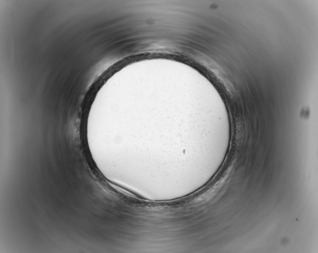 X0000101991066200808151419