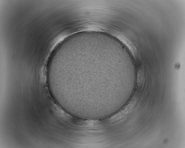 X0000101991067200808151419