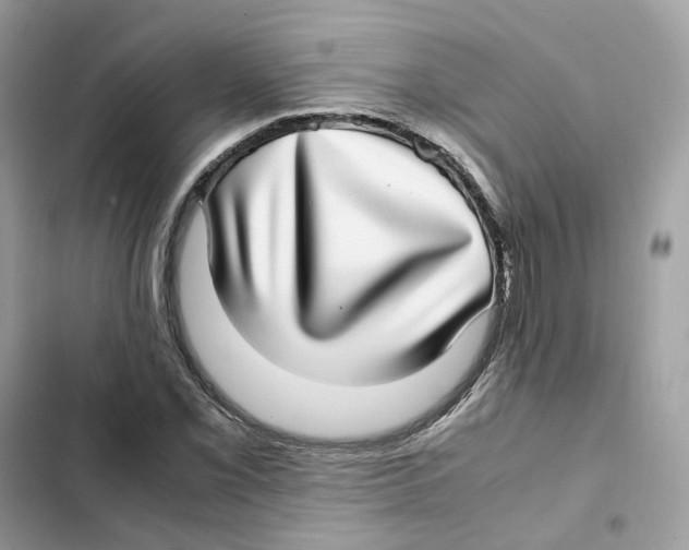 X0000101991069200808151419