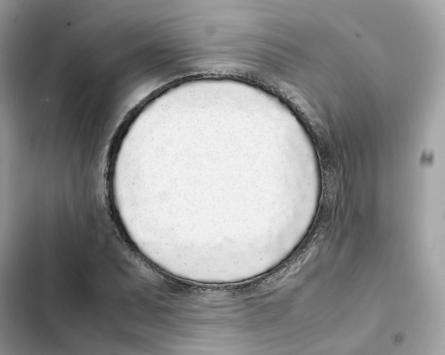 X0000101991071200808151419