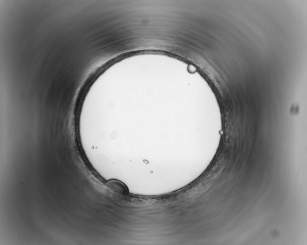 X0000101991072200808151419