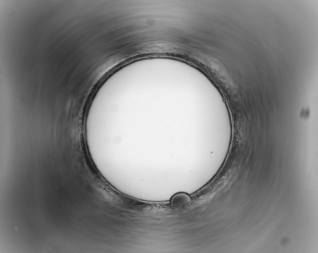 X0000101991073200808151419