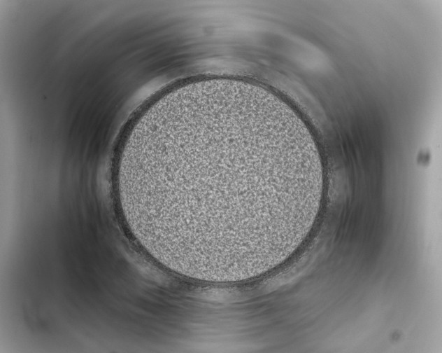 X0000101991074200808151419
