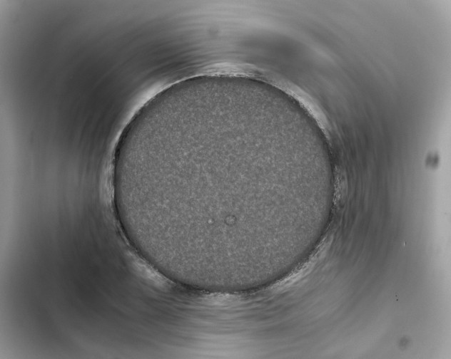 X0000101991075200808151419