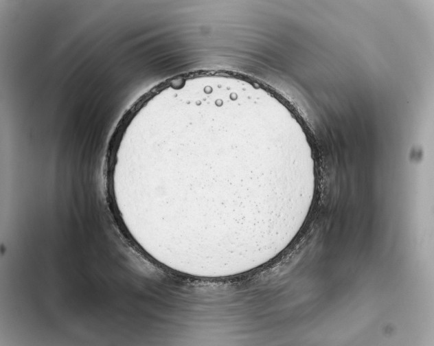 X0000101991076200808151419