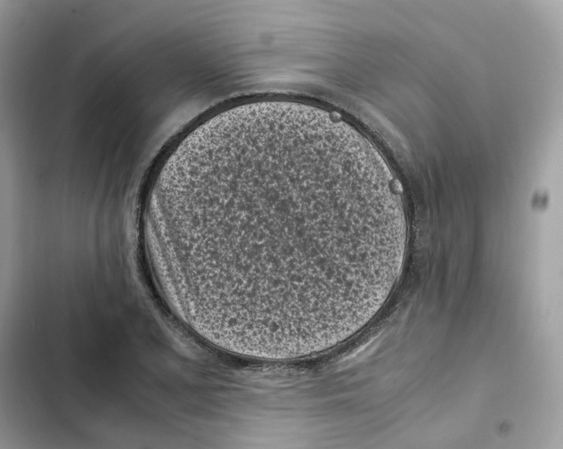 X0000101991077200808151419
