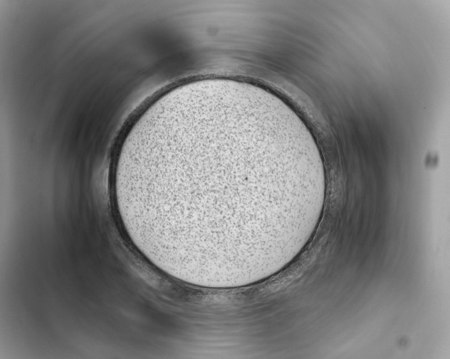 X0000101991078200808151419