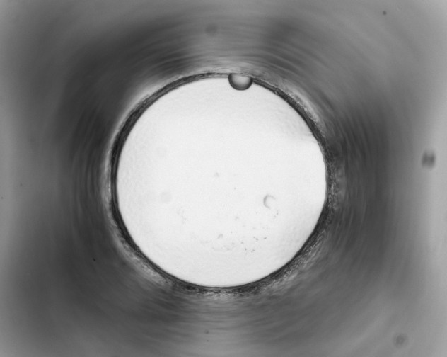 X0000101991080200808151418