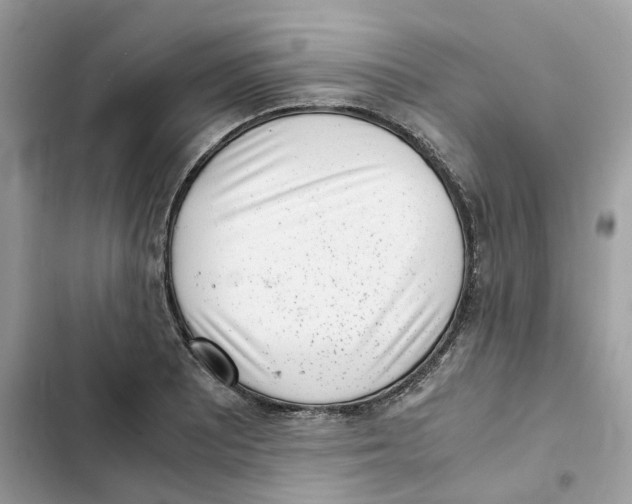 X0000101991081200808151418