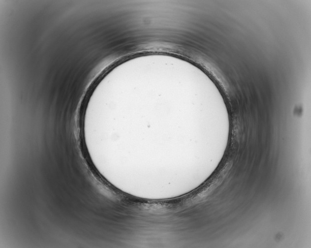 X0000101991082200808151418