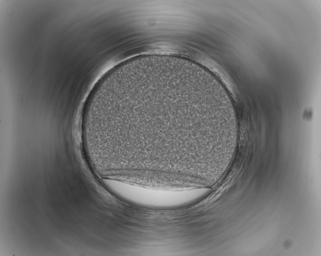 X0000101991083200808151418