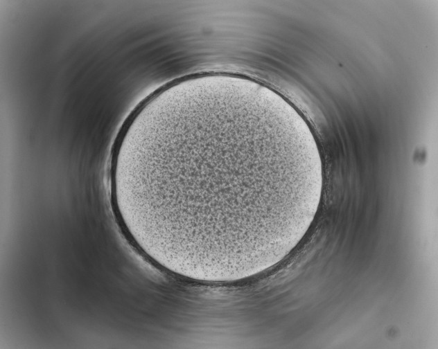 X0000101991084200808151418