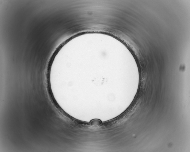 X0000101991085200808151418