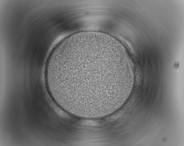 X0000101991086200808151418