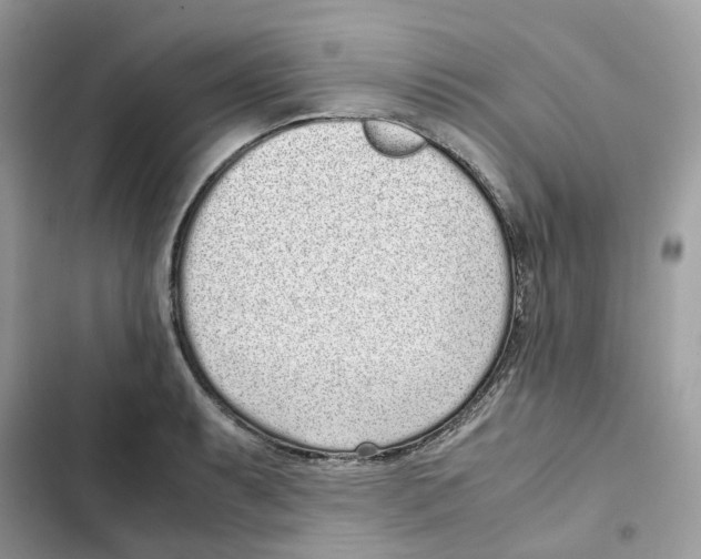 X0000101991087200808151418