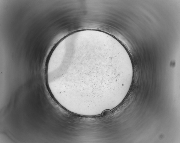 X0000101991088200808151418