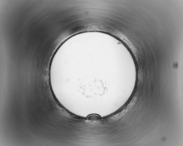 X0000101991089200808151418