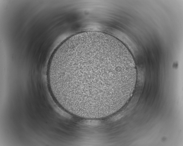 X0000101991090200808151418