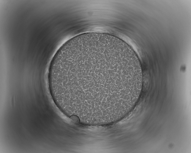 X0000101991091200808151418