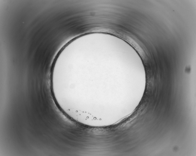 X0000101991092200808151418