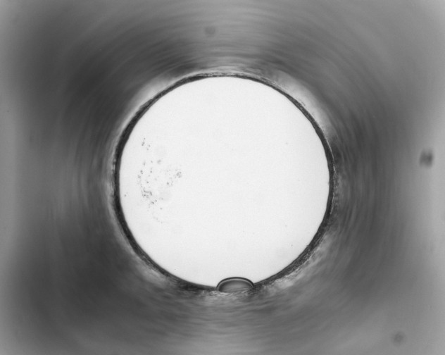 X0000101991093200808151418