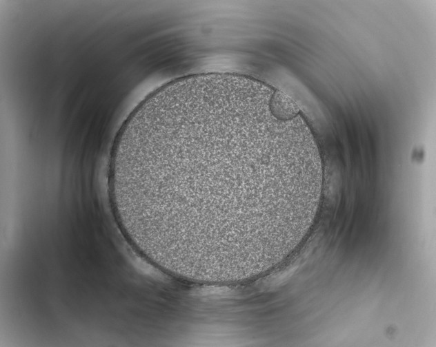 X0000101991094200808151418