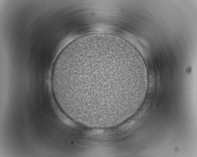 X0000101991098200808151418