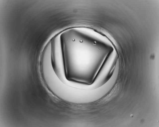 X0000101991101200808151418