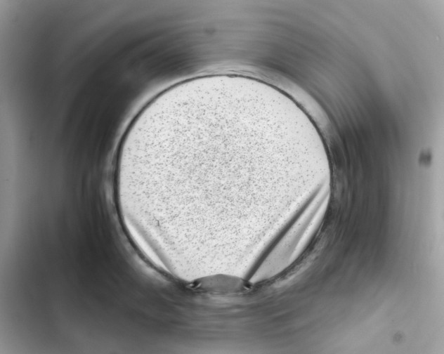 X0000101991102200808151418