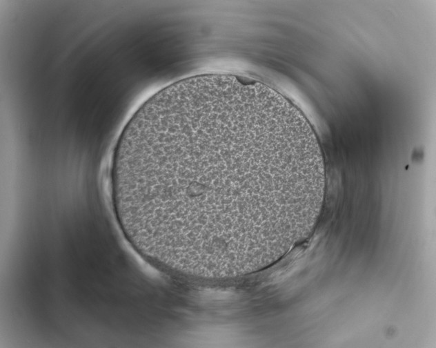 X0000101991103200808151418