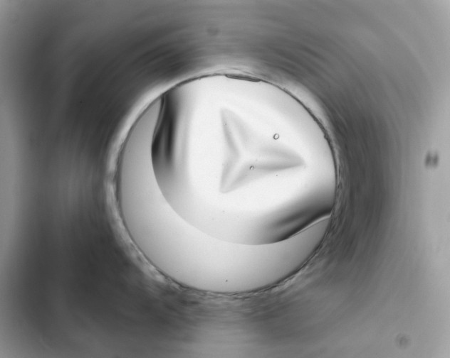 X0000101991104200808151418