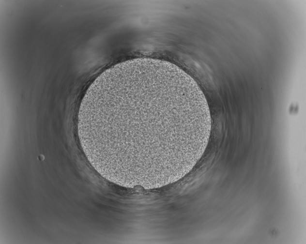 X0000101991105200808151417