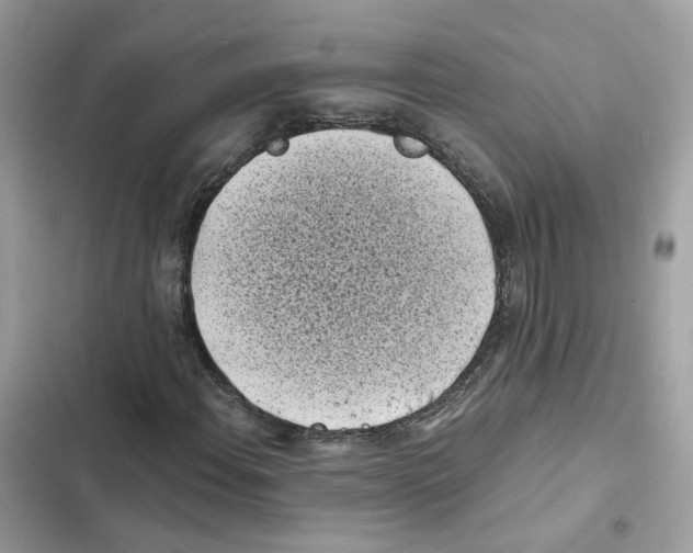 X0000101991108200808151417