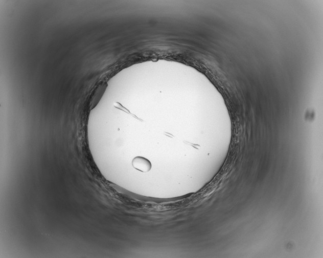 X0000101991109200808151417