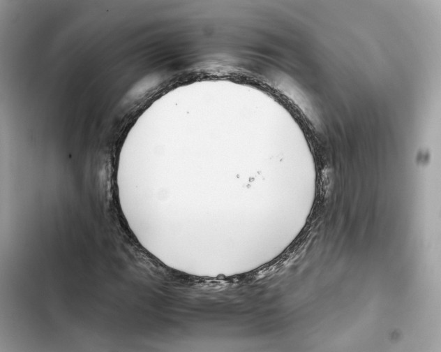 X0000101991111200808151417