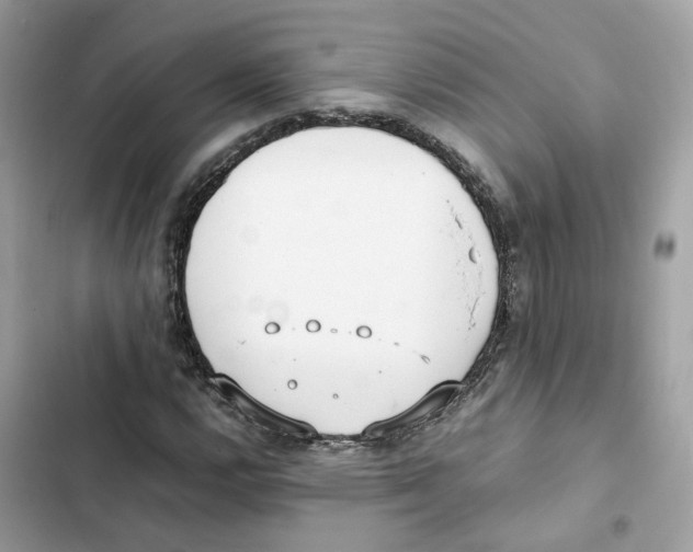 X0000101991112200808151417