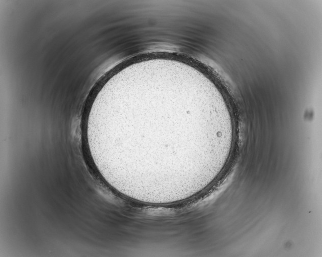 X0000101991113200808151417