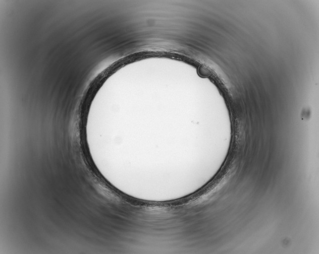 X0000101991114200808151417