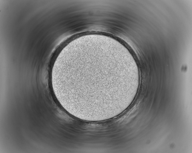 X0000101991115200808151417