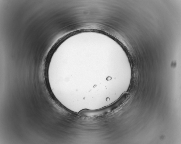 X0000101991116200808151417