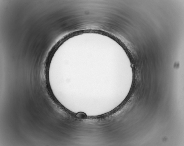 X0000101991118200808151417