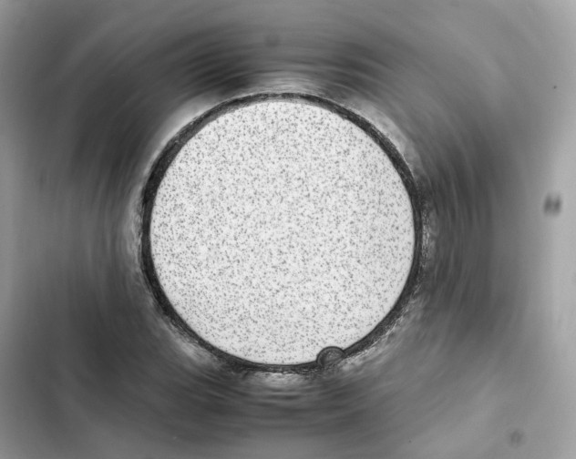 X0000101991119200808151417